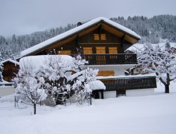 Perce Neige Chatel