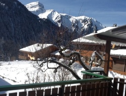 Perce Neige Chatel